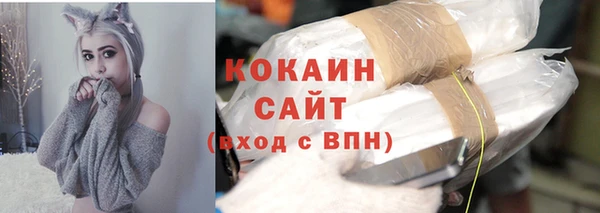 тгк Михайлов