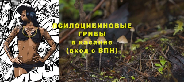 spice Михайловск