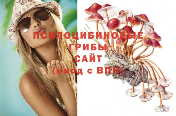 spice Михайловск