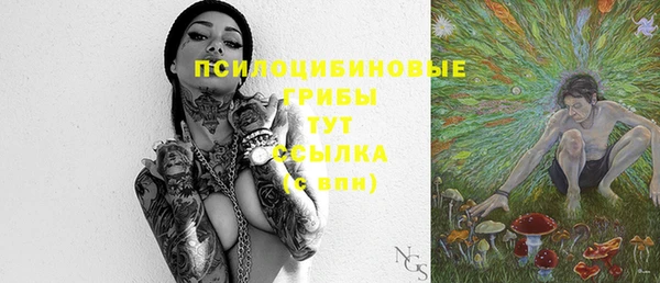 spice Михайловка