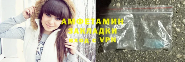индика Алагир